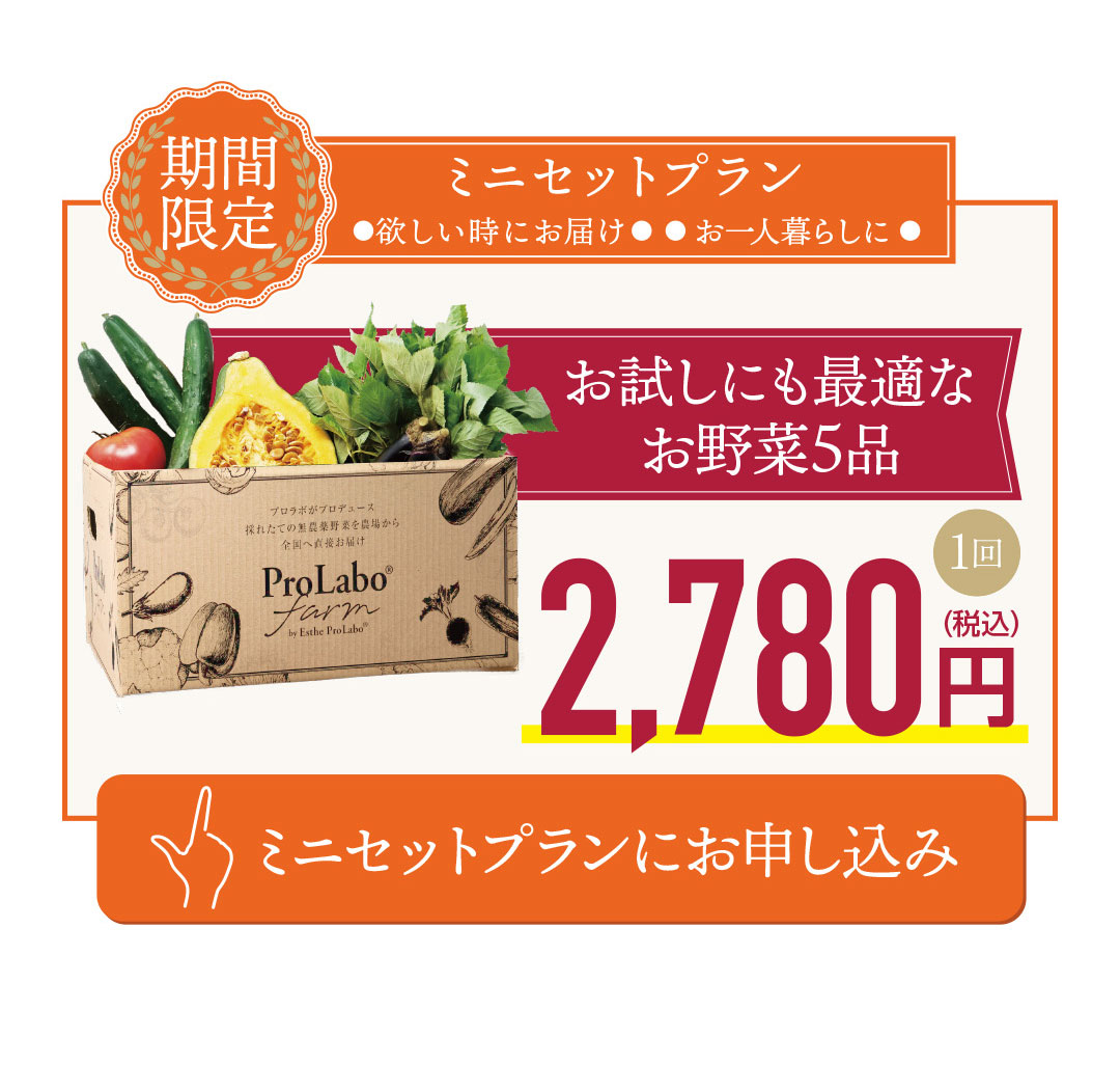 期間限定ミニセットプラン登場｜プロラボファーム