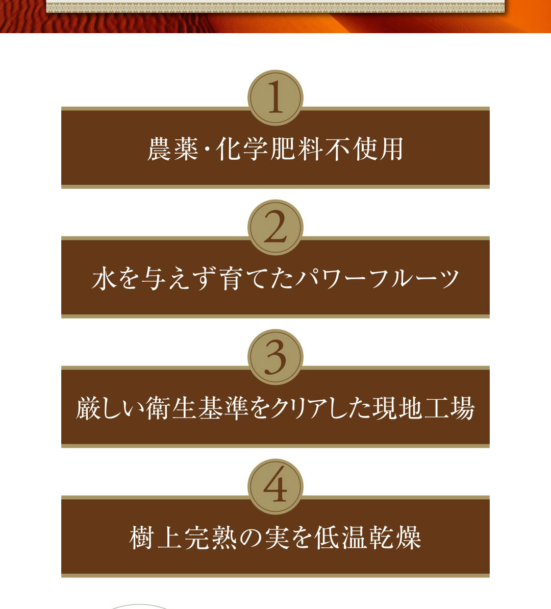 農薬・化学肥料不使用 水を与えず育てたパワーフルーツ