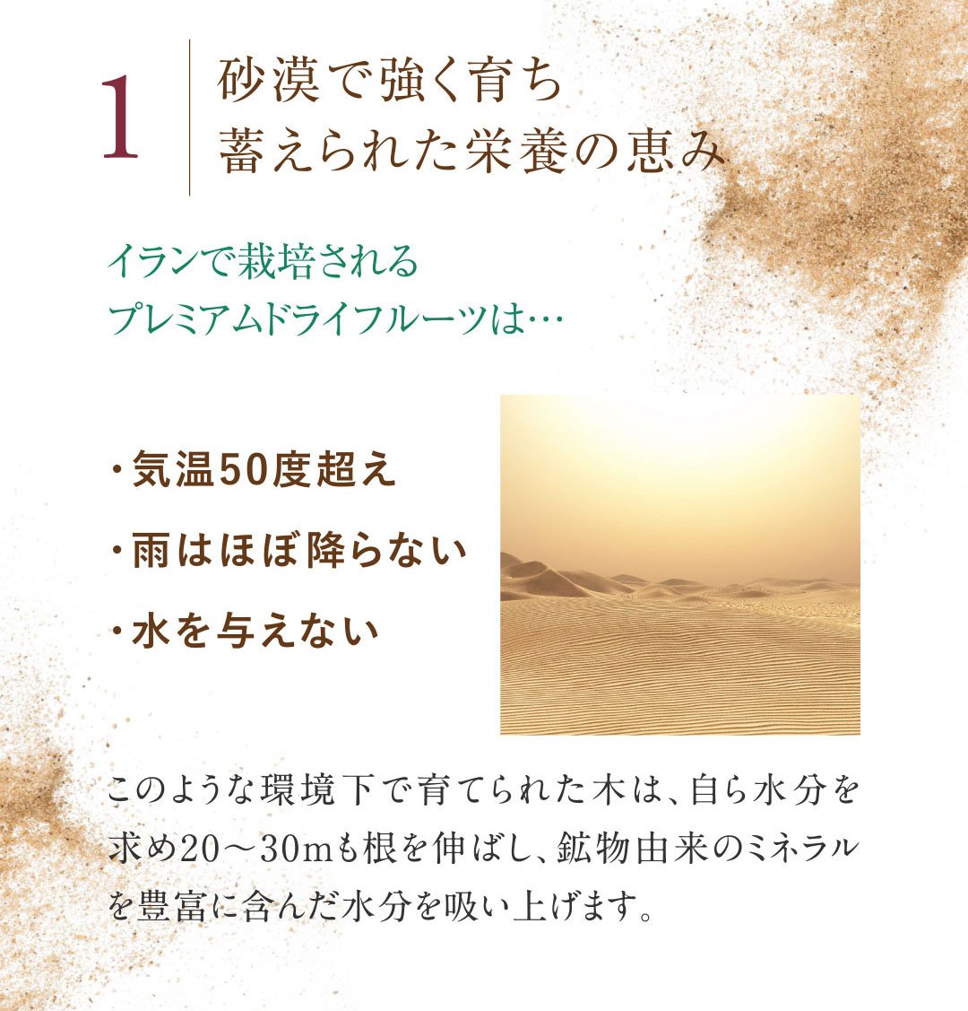 砂漠で強く育ち蓄えられた栄養の恵み