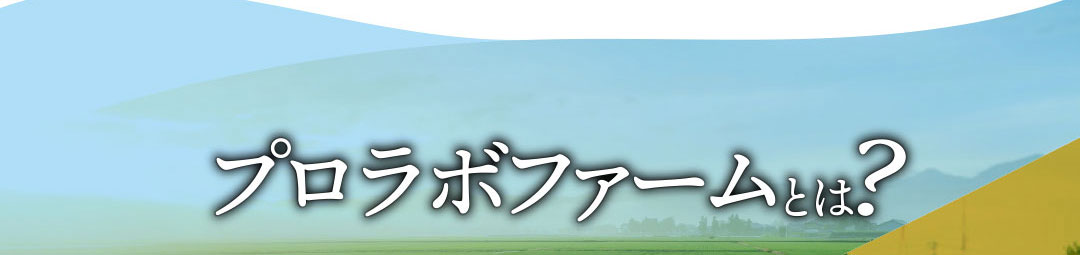 プロラボファームとは？