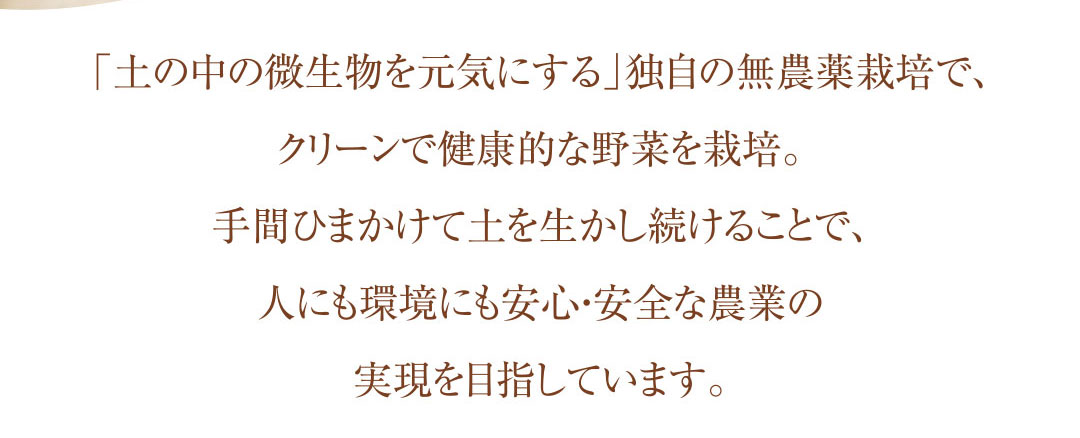 手間ひまかけて土を生かし続けることで、人にも環境にも安心・安全な農業の実現を目指しています。