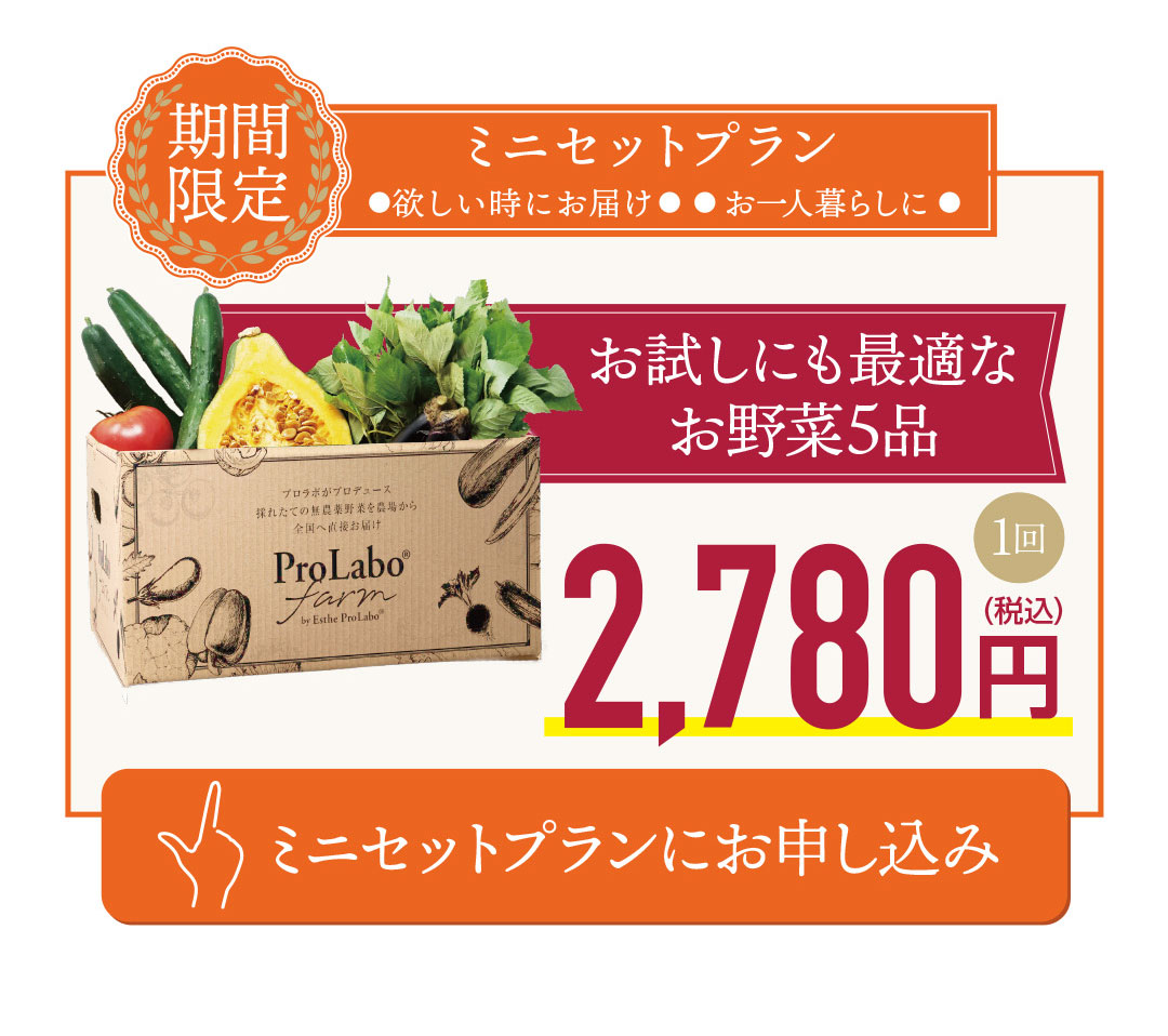 期間限定ミニセット｜プロラボファームのお野菜5品