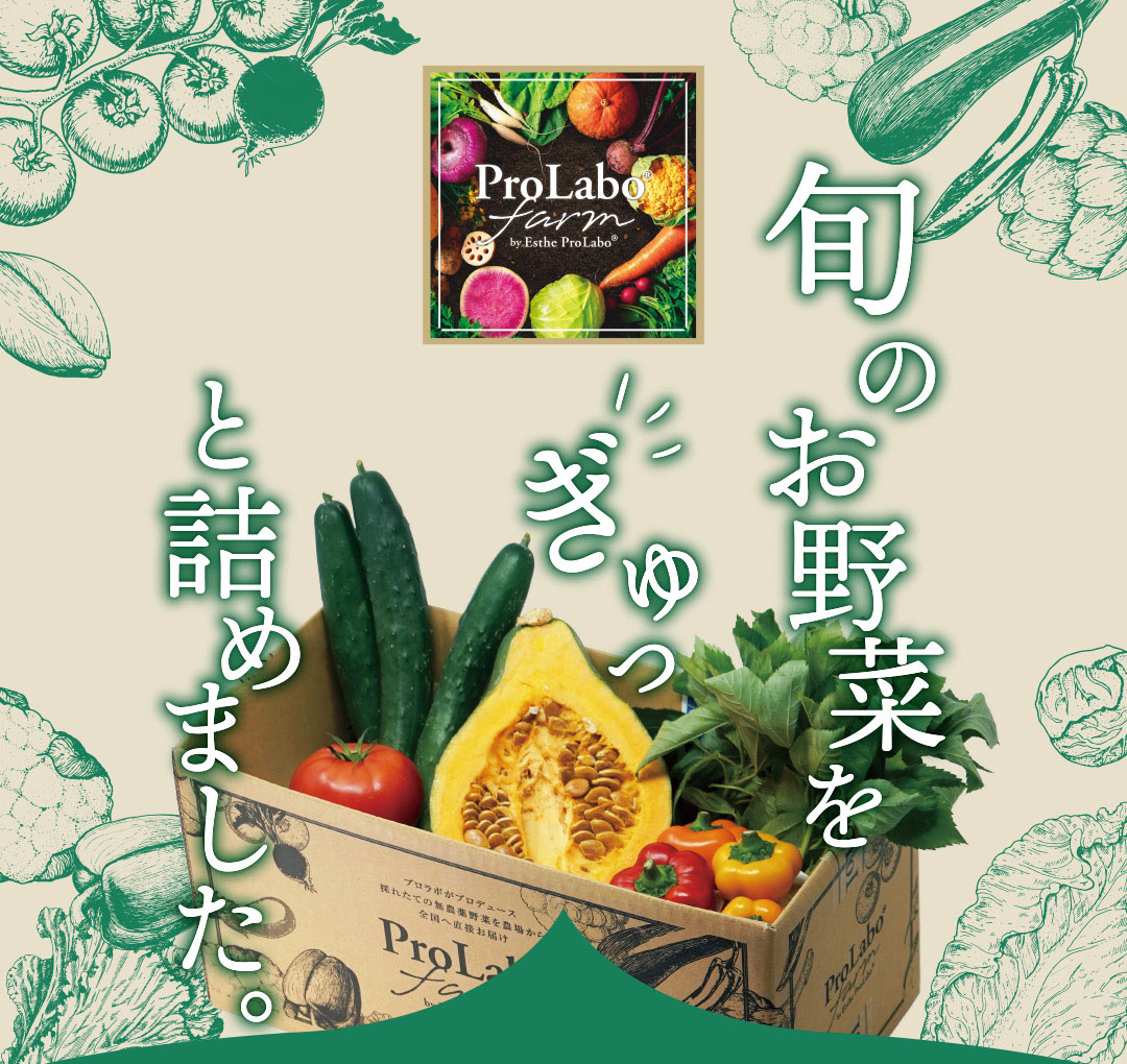 No.218d♡野ばらの実♡フレッシュ♡オーダーページ 期間限定ミニセット｜プロラボファームのお野菜5品