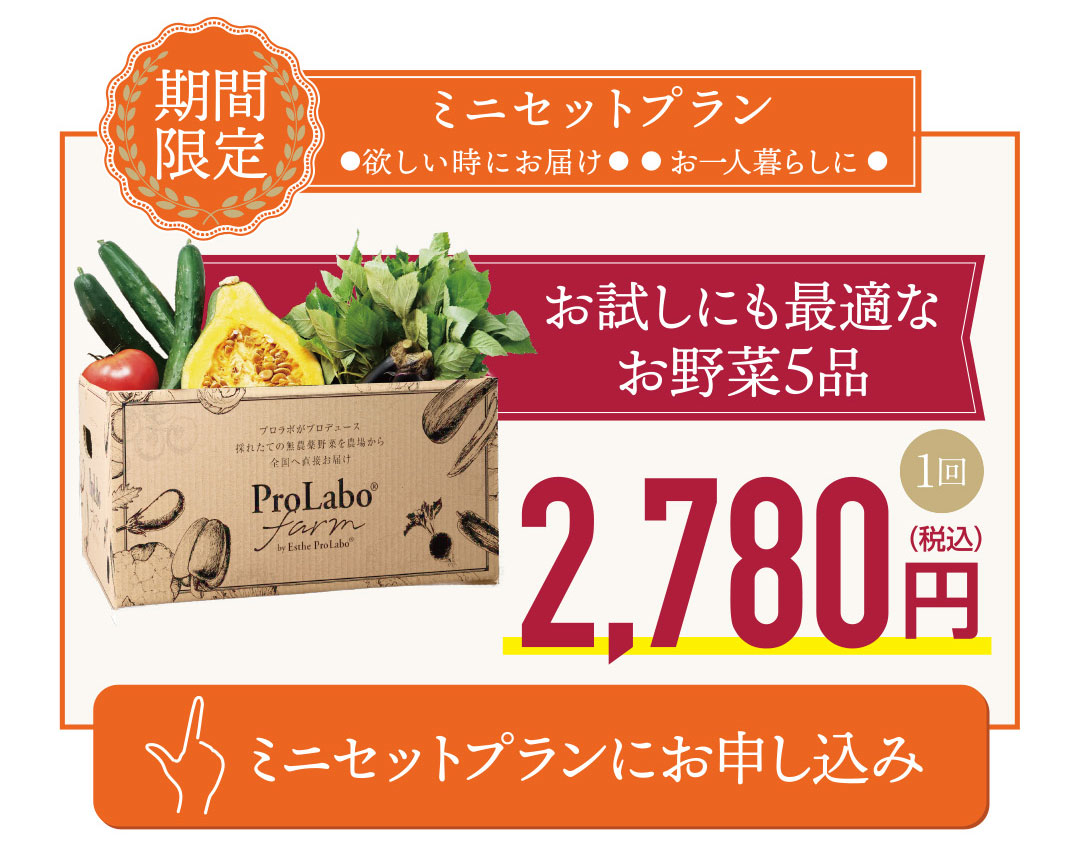 期間限定ミニセット｜プロラボファームのお野菜5品