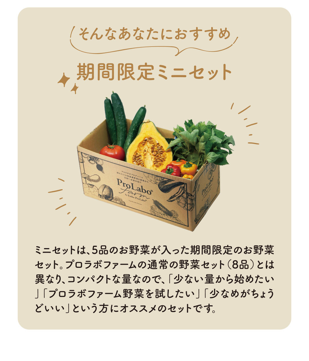 サハラ（プロフ必読） セット品 期間限定ミニセット｜プロラボファームのお野菜5品