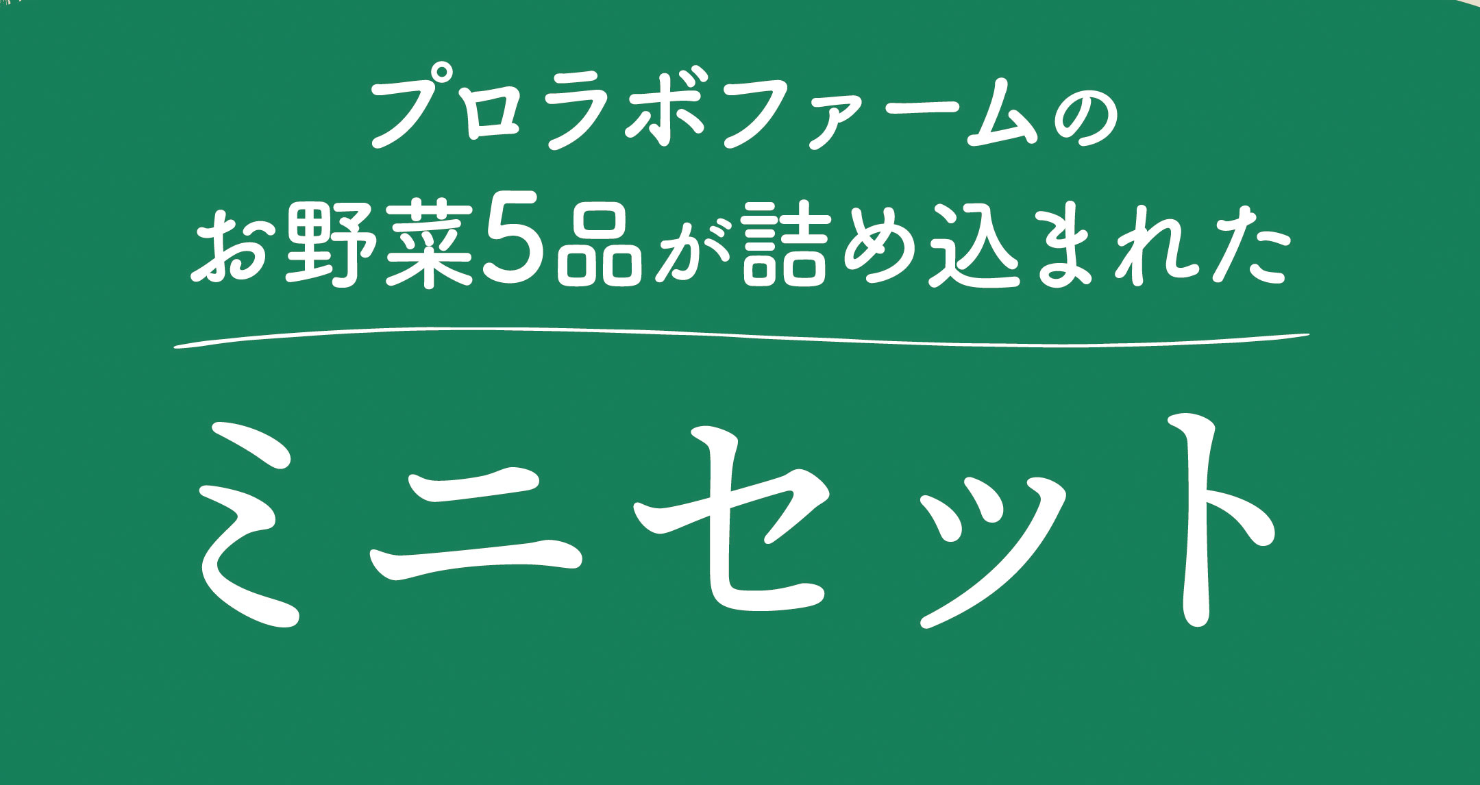 プロラボファームのお野菜5品が詰め込まれた期間限定ミニセット
