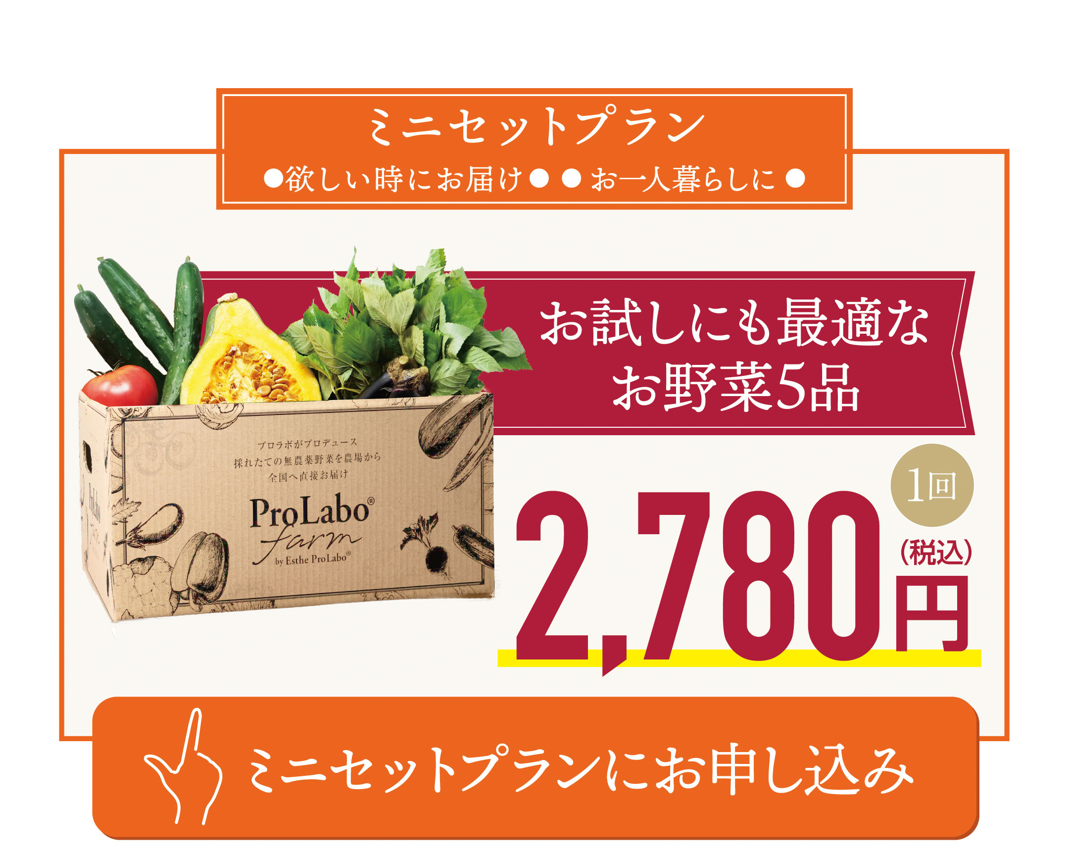 ミニセットプランにお申し込み