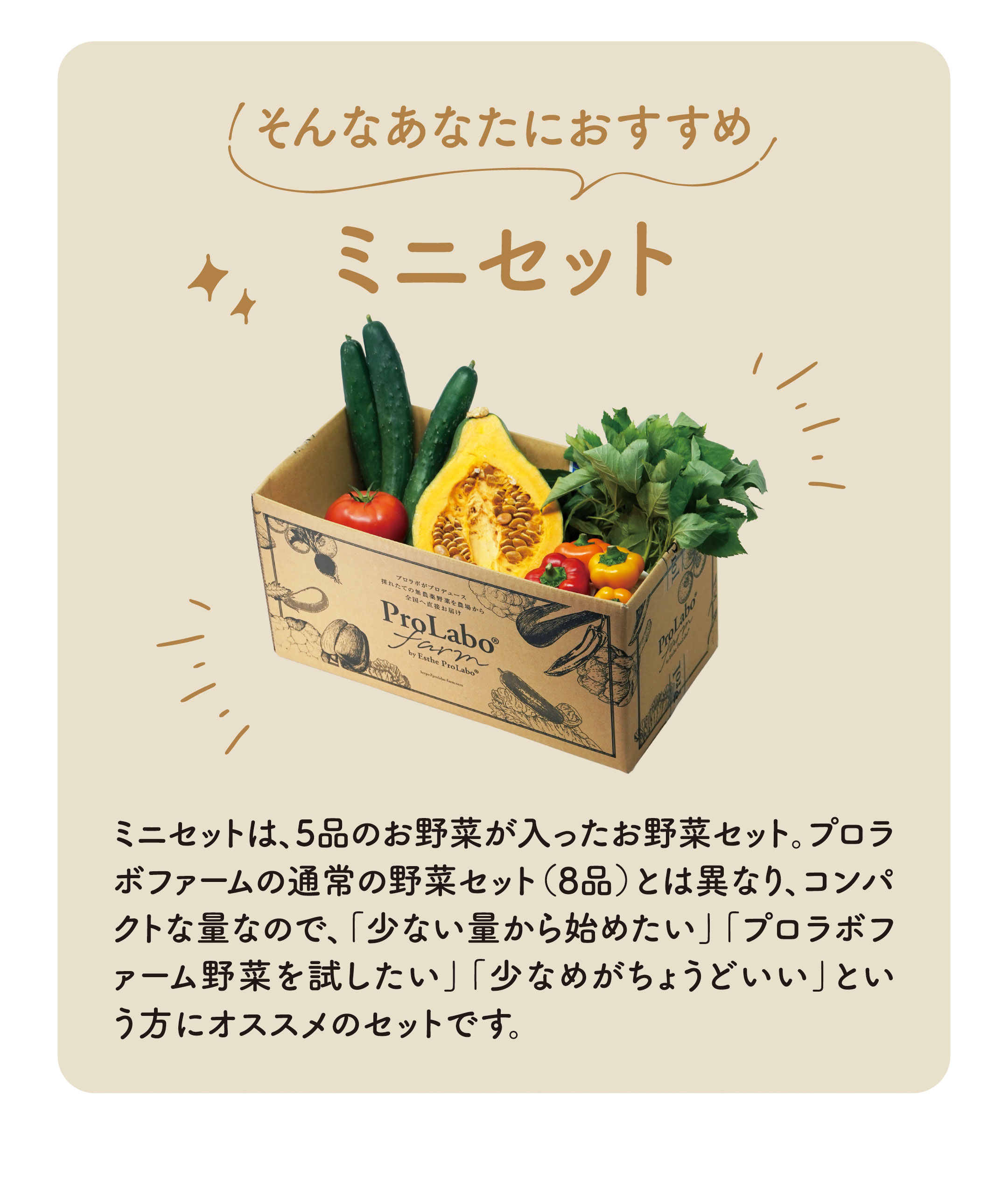 そんなあなたにおすすめ 期間限定ミニセット