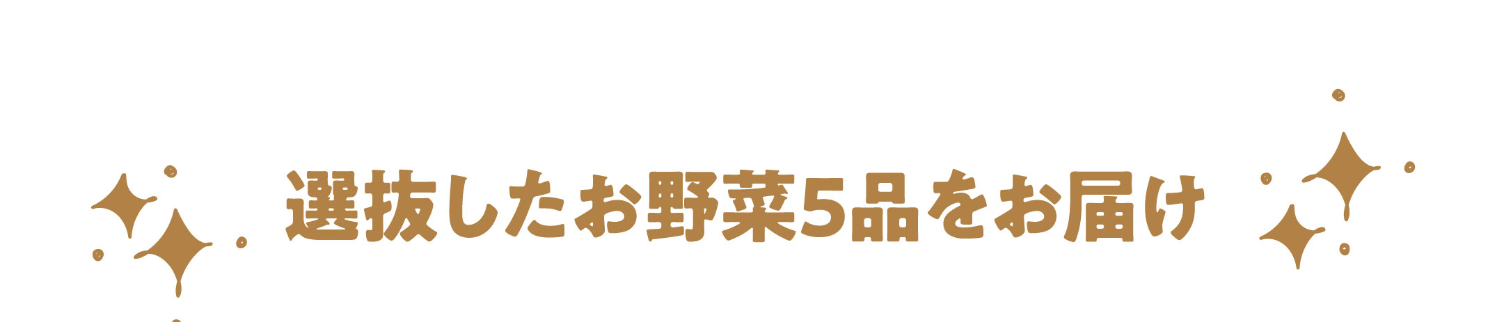 選抜したお野菜5品をお届け
