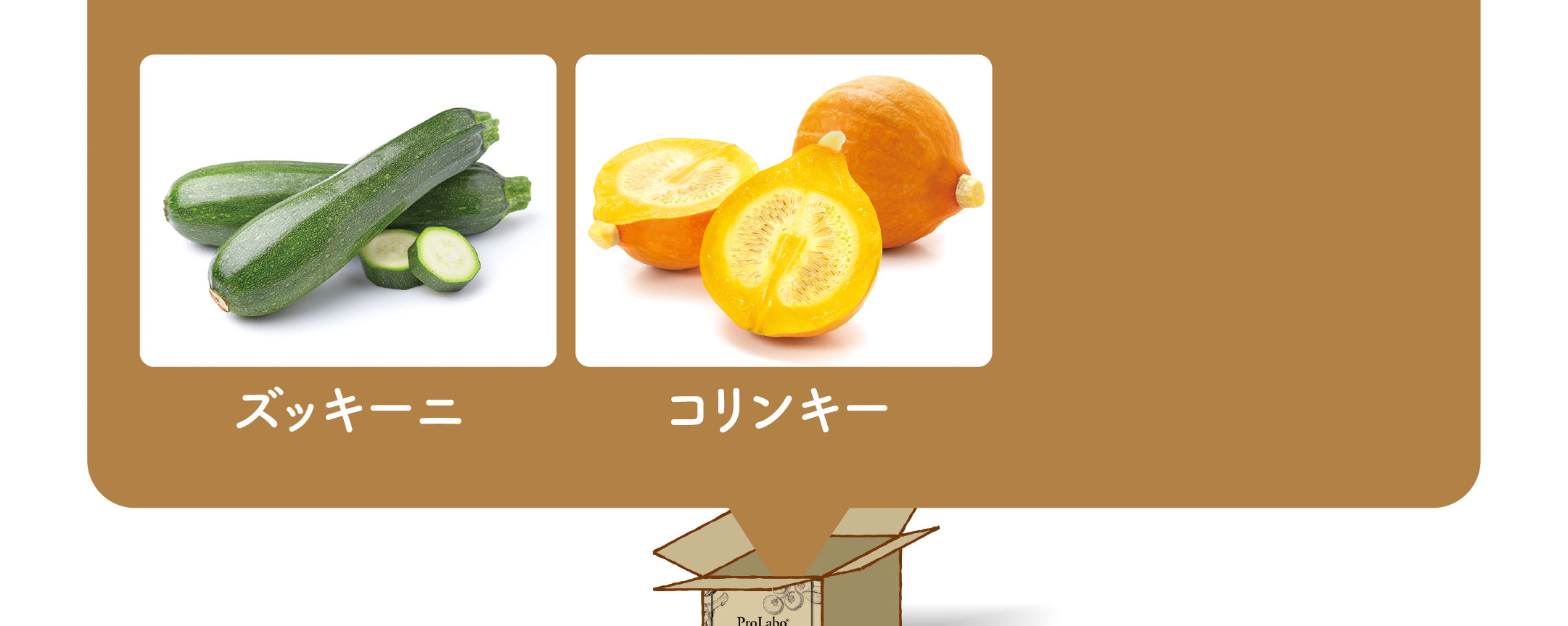 ズッキーニ コリンキー