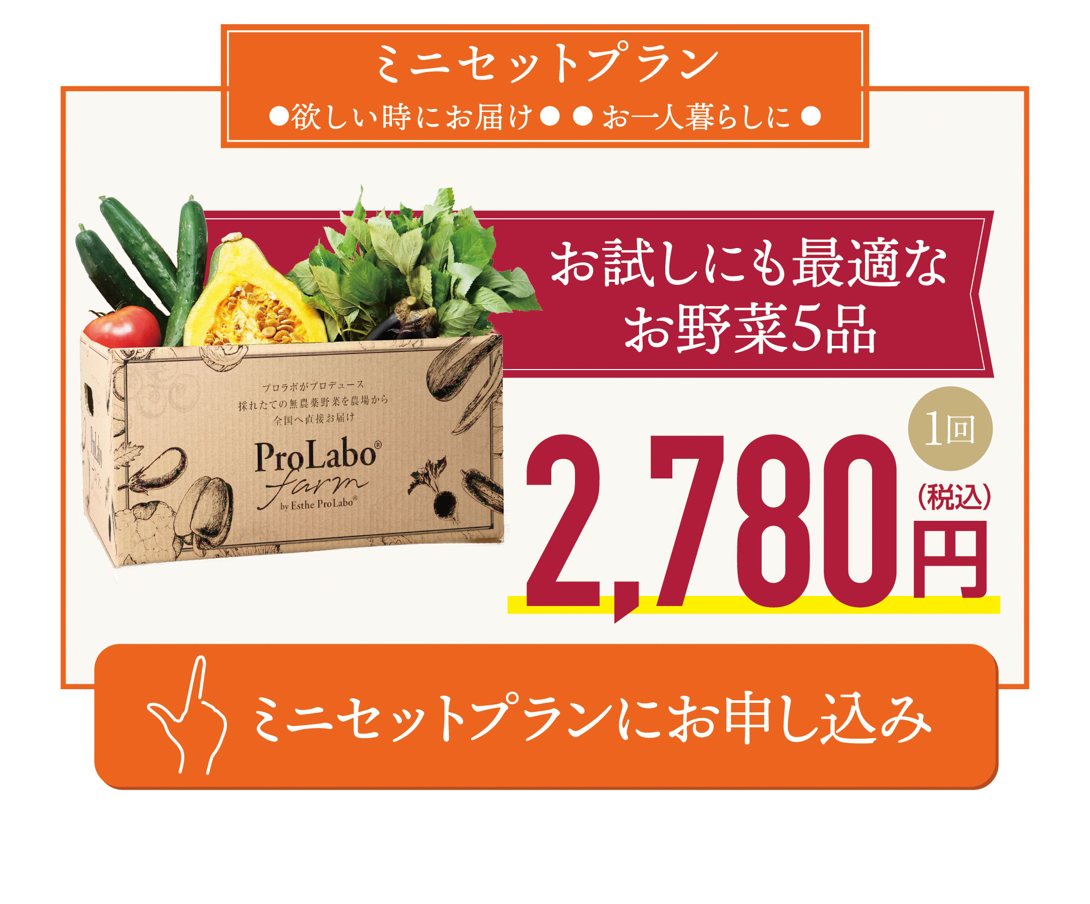 ミニセットプランにお申し込み