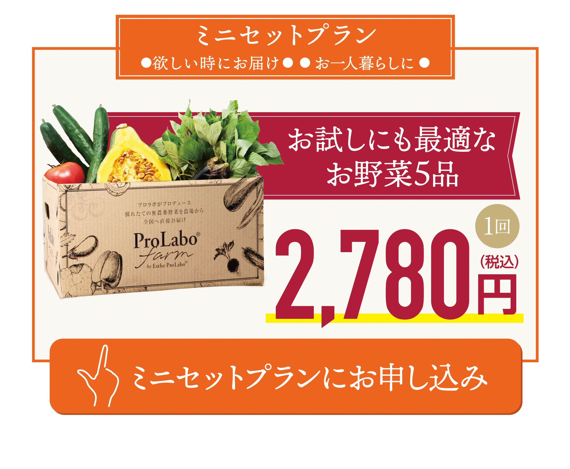 ミニセットプランにお申し込み