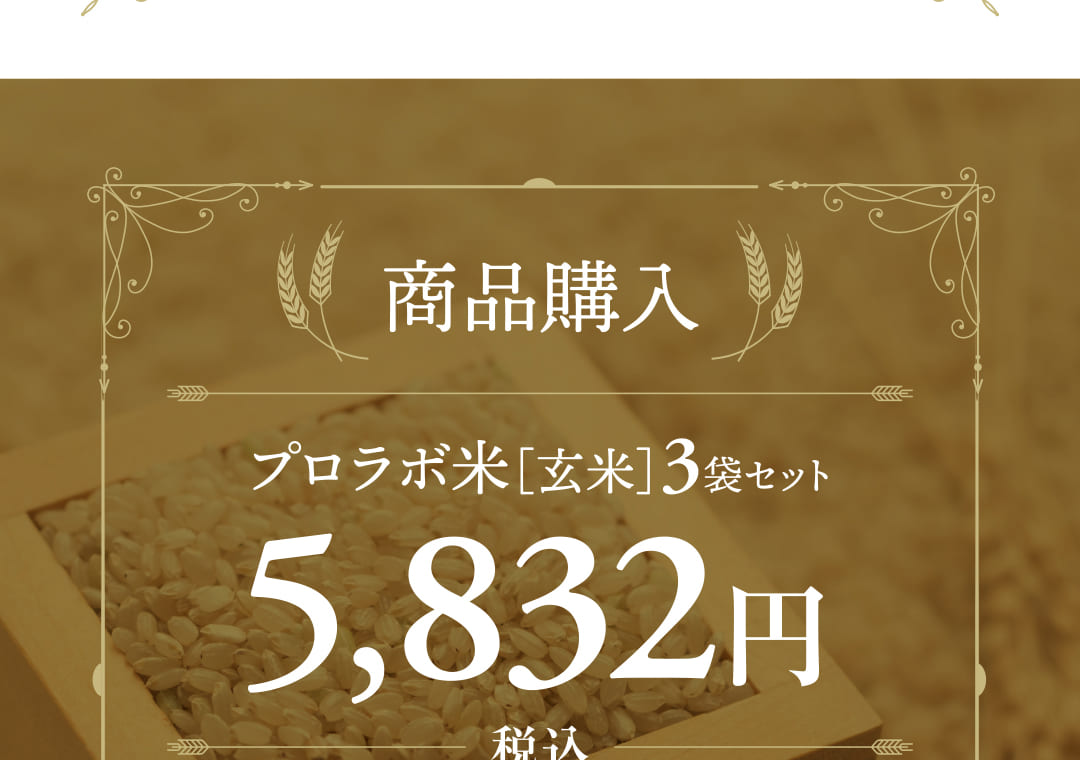 プロラボ米（玄米）3袋セット5,832円