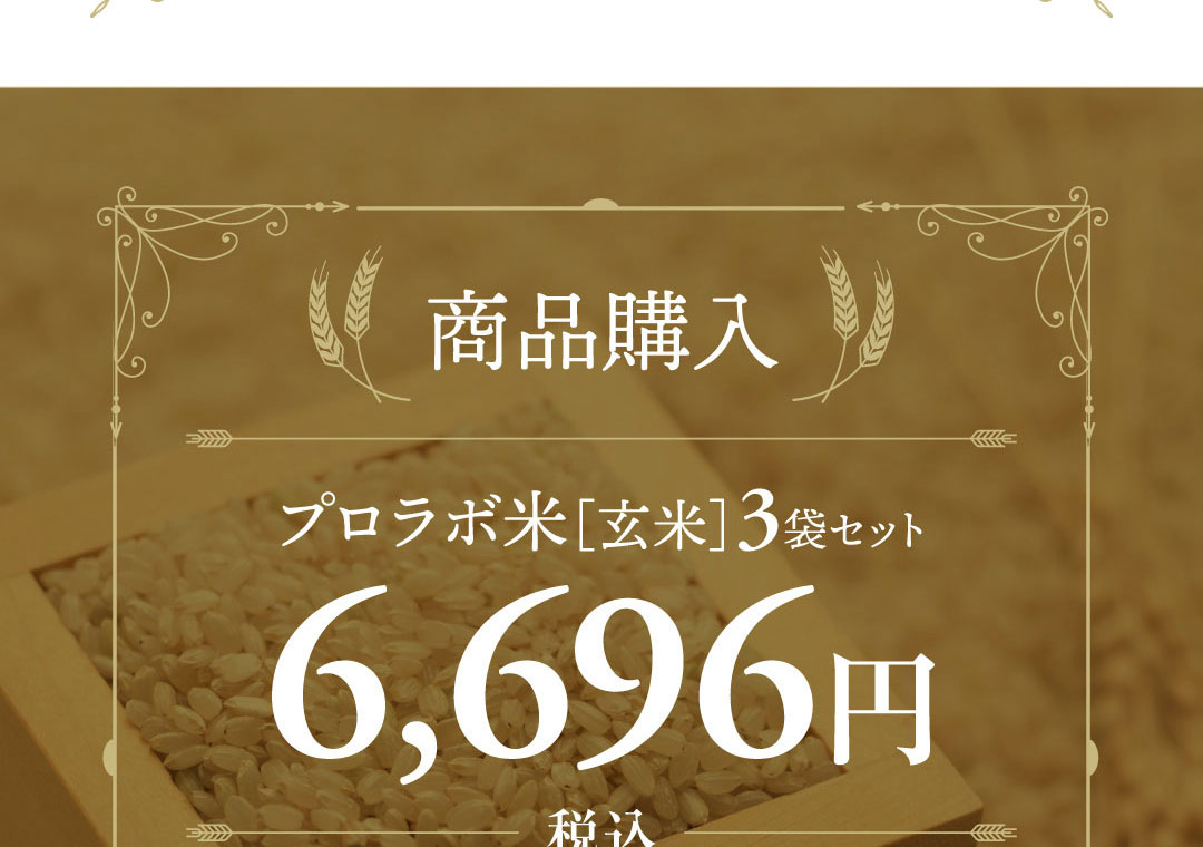 プロラボ米（玄米）3袋セット5,832円