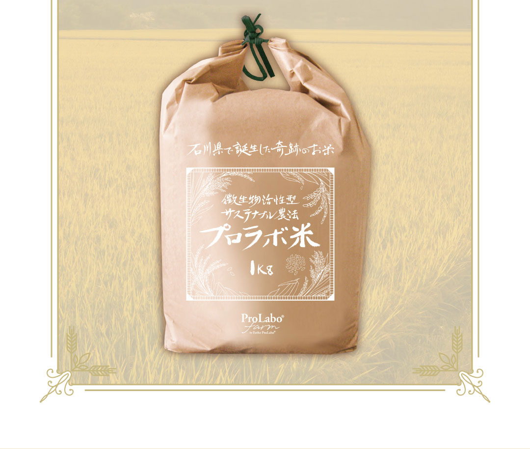 プロラボ米
