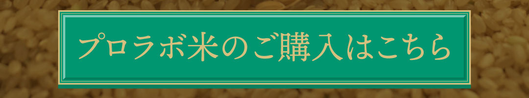 プロラボ米のご購入はこちら