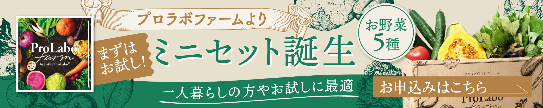 ミニセット誕生